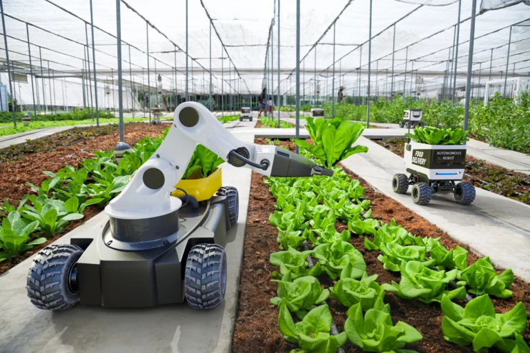 Innovative Robots and AI Applications Revolutionizing Industries
